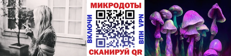 Псилоцибиновые грибы Psilocybe  Демидов 
